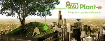 Dacă proiectul de extragere a apei supercritice din interiorul vulcanilor va deveni realitate. Energie RegenerabilÄƒ Din Plante Vii Green Report