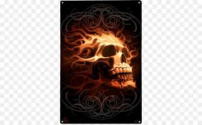 Next draw the outlined shape for the jaw. Human Skull Drawing Png Download 555 555 Free Transparent Skull Of A Skeleton With Burning Cigarette Png Download Cleanpng Kisspng