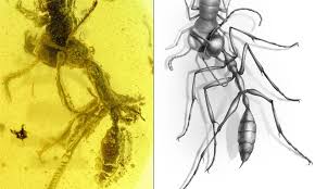 Ancient 'hell ants' had deadly scythe-like mandibles that they used to pin  prey | Daily Mail Online