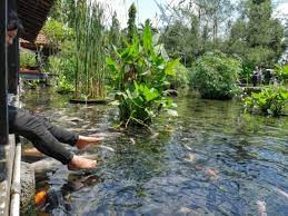 Selain itu, harga tiket masuk umbul tlatar boyolali juga terbilang cukup murah, jadi tidak menguras kantong jika anda berlibur ke umbul mina tlatar bersama dengan harga tiket masuk umbul tlatar cukup murah, taman wisata air ini sering dijadikan tempat berlangsungnya acara keluarga, kantor dan. Lengkap Umbul Tlatar Cocok Untuk Liburan Keluarga