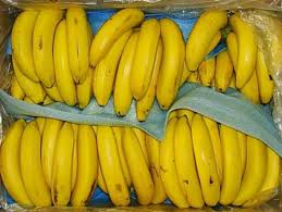 Walaupun begitu, pisang biasanya berlengkung. Lendah Dua Puluh Jenis Pisang Konsumsi Dan Bernilai Ekonomi