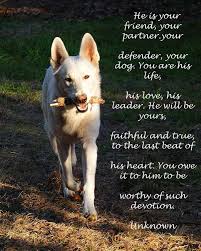 A Dog Poem Steve S Digicams Forums Dog Poems Dog Quotes Dog Love