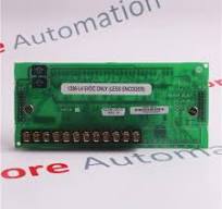 1336S-EN4 42336-224-51 | 1336 PLUS Drives