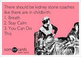 23 Kidney Stone Banter Ideas Bones Funny Kidney Kidney Stones Funny