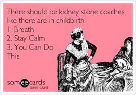 Select from premium kidney stones images of the highest quality. 19 Kidney Stone Humor Ideas Humor Bones Funny Kidney Stones Funny