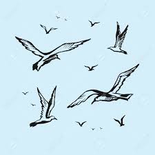 Great inflatable boats for scuba diving, fishing, camping, canoeing and exploring. Seagulls Vector Sketch Drawing By Hand Royalty Free Cliparts Vectors And Stock Illustration Image 71070486