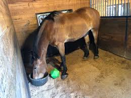 Check spelling or type a new query. Ground Broken For State Of The Art Horse Facility On National Mall Wtop