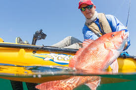 An additional factor for paddle craft is the comfortably outputs factor. Is It Better To Paddle Or Pedal While Kayak Fishing Kayak Angler