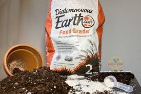 Diatomaceous earth can be a powerful tool for many home and garden ailments. Why Every Indoor Gardener Needs Diatomaceous Earth Indoor Plants For Beginners