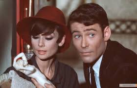 Words in the Kitchen Sink: 2013