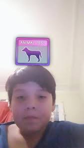 Vídeos de mili (@maiaelizabeth7) con «sonido original