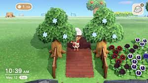 If your money tree isn't growing in animal crossing, make sure you apply the rules we shared above: Animal Crossing New Horizons Players Are Hacking In Special Trees To Grow Star Fragments And Other Rare Items Happy Gamer