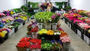 It is an ideal vacation destination to sending flowers is showing how much you appreciate certain people. Jet Fresh Flower Distributors Open House Happy Hour