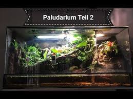 120x50x60 Paludarium Bau Buschkrokodile Teil 2 Flex Fliesenkleber Youtube Paludario Terrarios Acuarios