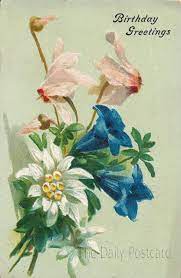 Edelweiss Gentian And Cyclamen Vintage Birthday Disegno Fiori Fiori Dipinti Fiori Vintage