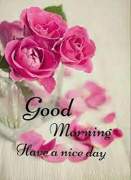 Pin On Good Morning Quotes