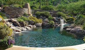 Distinctive pools for the phoenix valley. Cimarron Circle Construction Company Arizona Swimming Pool Construction Swimming Pool Construction Swimming Pond Natural Swimming Ponds