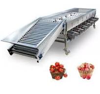 Professional Fruit Citrus Sorting Machine Lemon Grading Machine