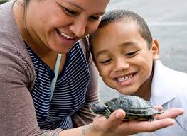 Roosters, rabbits, turtles and more: Garden Grove park is a melting pot of  wild animals and unwanted pets