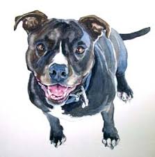 We also provide an excellent assortment of food, supplies you can train your pet or simply be amused by their wonderful personality. New Mexico Pet Loss Resources