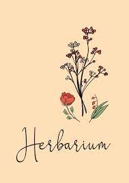 Filmed at the royal botanic garden edinburgh, this video provides a thorough introduction to collecting and pressing plants to make herbarium specimens. Herbarium Deckblatt Pdf Zum Ausdrucken Kribbelbunt