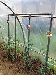 astuce d arrosage pour les tomates il faut penser a faire un trou a la perceuse dans le bas du tuyau pvc arrosage jardin projets de jardins jardins