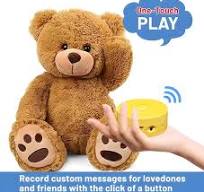 Amazon.com: JRGKJCP 16 Minutes Voice Recorder, Record Custom Message for Plush Toy, Stuffed Bear Toy, Baby Doll Toy, and Pillow (2Pack + Yellow) : ...