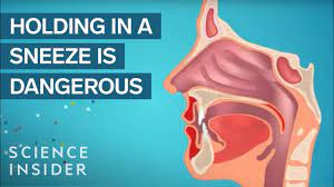 12 Simple Tips To Help You Stop Sneezing