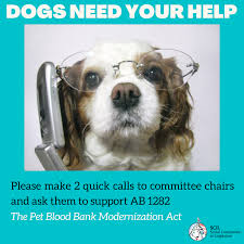 A pet blood bank meets this need by storing an emergency supply of both cat and dog blood. Need Your Help Ab 1282 Bloom Wilk The Pet Blood Bank Modernization Act Will Be Heard In The Senate Agriculture Committee Next Week Social Compassion In Legislation