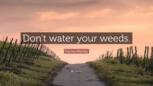 Either way, here are 25 inspirational quotes about weed to lift your high even higher. Harvey Mackay Quote Don T Water Your Weeds