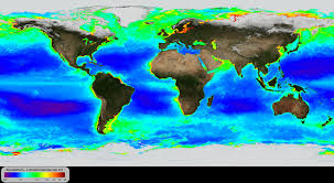 noaa environmental visualization laboratory global annual