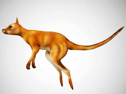 Pin On Animal Collection On Team3dyard 3d Marketplace