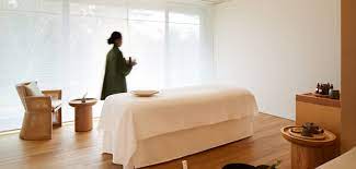 Amanemu Spa In 2021 Spa Treatment Room Esthetician Room Decor Treatment Room