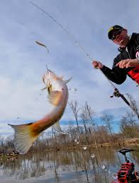 Bassmaster Elite series invades Cayuga Lake this weekend