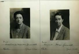 Image result for Anisopappus abercornensis