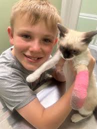 Three Legged Cats Group