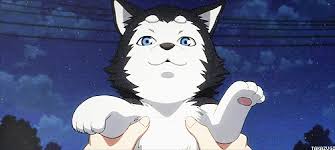 Dog Animated Gif Anime Gifs Giphy On We Heart It Share the best gifs now >>>. dog animated gif anime gifs giphy