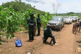 The mozambican national resistance (portuguese: Renamo In Turmoil With Elections And Peace On The Horizon Zitamar