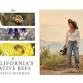 Krystle Hickman - The ABCs of California's Native Bees event image