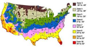 Choose a tree for your zone 5 / 6 yard carefully. Fruit Trees Growing Zones Yahoo Image Search Results Pergola Pictures Boho Garden Pergola Designs