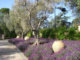 Pots Planters Designer Gallery Eye Of The Day Garden Design Center Garden Design Garden Mediterranean Garden