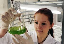 Lichtschalter“ in Mikroalgen