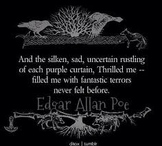 The Thrill Of Horror Bewilders Me Poe Quotes Edgar Allen Poe Quotes Edgar Allan Poe