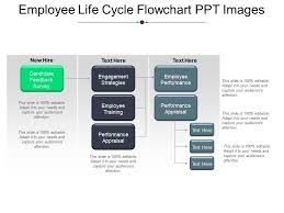 employee life cycle flowchart ppt images powerpoint