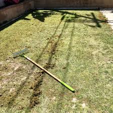 Sunday is a lawn care company that does things differently, working with you online and through the mail to create a lawn you can be proud of. Get Sunday Lawn Care Review Does It Work Balancing Act