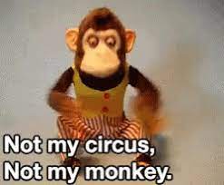 Not My Circus Not My Monkey Gif Not My Circus Not My Monkey Discover Share Gifs