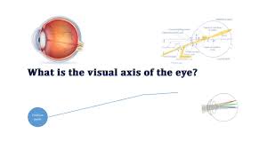 Image result for Visual Fixation