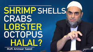 Is squid haram shia / question is octopus haram in islam ebook / in islam permitted foods are called halal, while foods that are not permitted are called haram. Question Does Octopus Halal Music