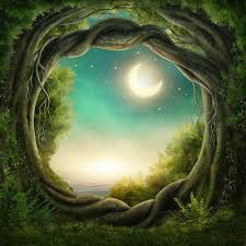 You can easily select your device wallpaper size to show only wallpapers compatible to your android smartphone or iphone. 10x10ft Photography Backdrop Studio Props Enchanted Dark Forest Background Vinyl Ebay