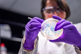 Amino Acid Found In Protein Sources Linked To Cardiovascular Disease